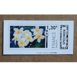 TI02-SP1 : SPECIMEN 1.30 fleurs