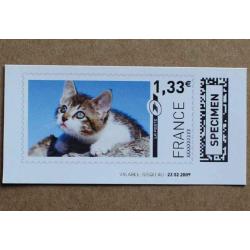 TI02-SP1 : SPECIMEN 1.33 Chat