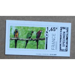 TI02-SP1 : SPECIMEN 1.65 Perroquets