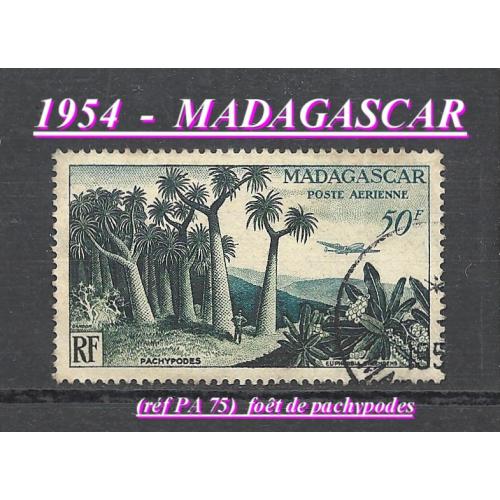 1954 -MADAGASCAR (réf PA  75) Fôret de pachypodes -