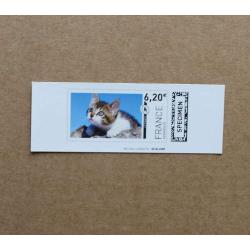 TI02-SP1 : SPECIMEN 6.20 Chat