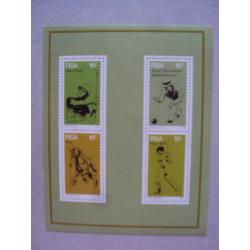 THEMATIQUE SPORT BLOC DIVERS