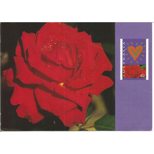 AUSTRALIE -  Entier Postal - ROSE 45 C  Oblitéré 1995 pour la France