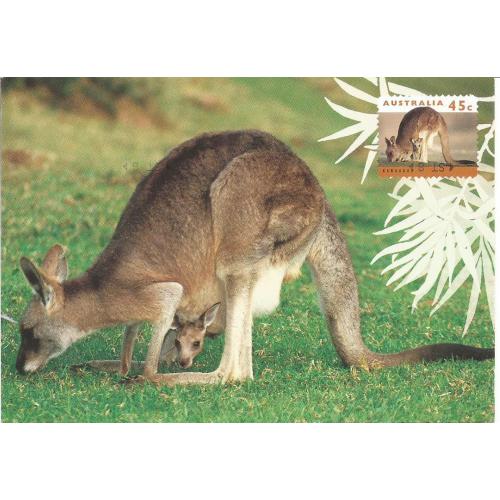 AUSTRALIE -  Entier Postal - KANGOUROU 45 C  Oblitéré 1995 pour la France