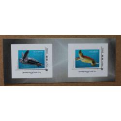 B1-H3 : Aquarium la Rochelle (Charente-Maritime) - Tortues . Autoadhésifs, autocollants