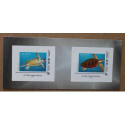 B1-H3 : Aquarium la Rochelle (Charente-Maritime) - Tortues . Autoadhésifs, autocollants