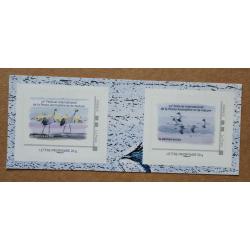 B1-J1: 21è Festival International de la Photo Animalière et de Nature - Oiseaux .  Autocollants, autoadhésifs