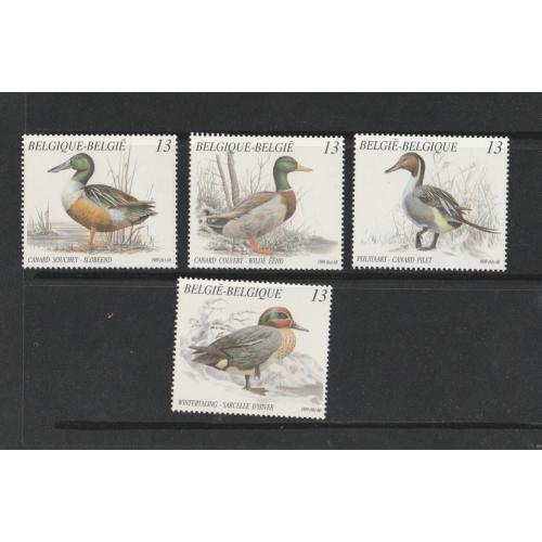 Oiseaux Belgique2332/35 série complète neuve ** superbe