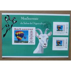 SA15-02 : Salon de l'Agriculture 2015 / Montgolfière / Fête du Têt - Année de la Chèvre de Bois . Autoadhésifs
