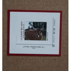 P3-B2 : Salon International de l'Agriculture Paris 2016 - Vache