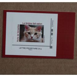 P3-B3 : Salon International de l'Agriculture Paris 2016 - Chat