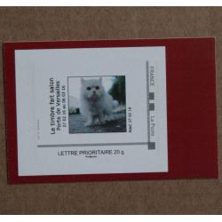 P3-B3 : Salon International de l'Agriculture Paris 2016 - Chat