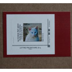 P3-B3 : Salon International de l'Agriculture Paris 2016 - Chat