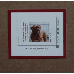 P3-B3 : Salon International de l'Agriculture Paris 2016 - Chien