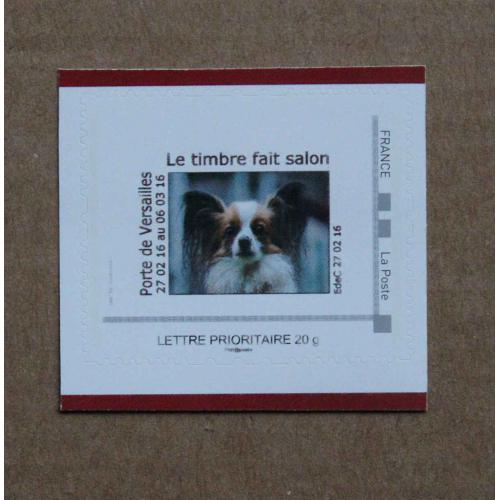 P3-B3 : Salon International de l'Agriculture Paris 2016 - Chien