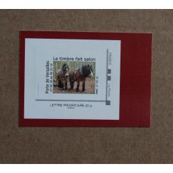 P3-B6 : Salon International de l'Agriculture Paris 2016 - Chevaux