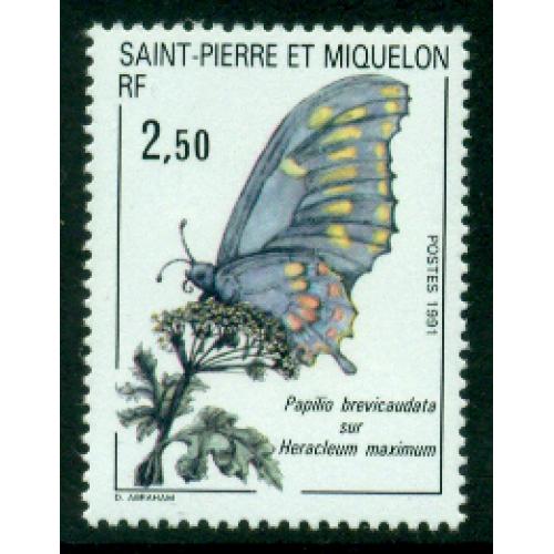 Timbre neuf** de SPM. Papilio brevicaudata de 1991