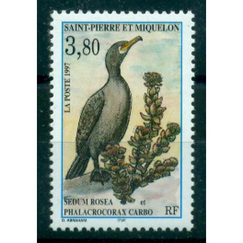 Timbres neufs** de SPM. Faune et flore de 1997