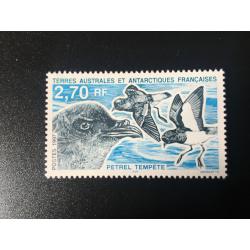 1997: Pétrel tempête