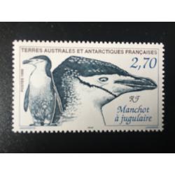 1999: Manchot à jugulaire