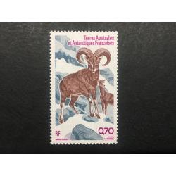 Poste aérienne : Mouflons