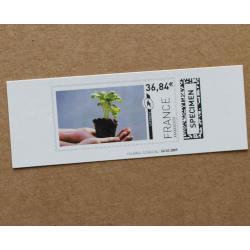 TI02-SP1 : SPECIMEN 36.84  Terre / Plantes / Mains