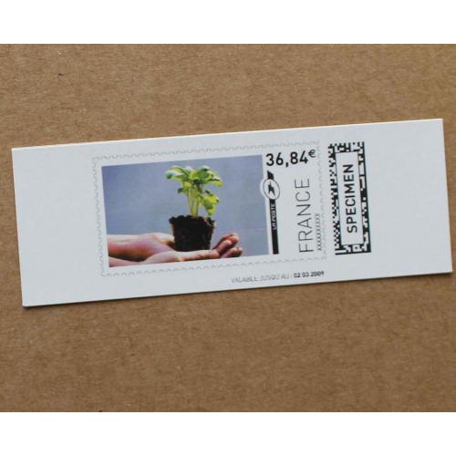 TI02-SP1 : SPECIMEN 36.84  Terre / Plantes / Mains