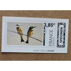 TI02-SP1 : SPECIMEN 3.85 Oiseau