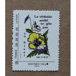 P2-T3 : Destinéo seuil 1 - Fleurs (la véritable amitié ne gèle pas en hiver)