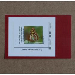 P3-C2 : Salon International de l'Agriculture Paris 2016 - Papillon