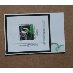 P3-D1 : 21ème Rendez-vous de la Bande Dessinée d'Amiens 2016 - Orchidée