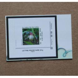 P3-D1 : 21ème Rendez-vous de la Bande Dessinée d'Amiens 2016 - Orchidée