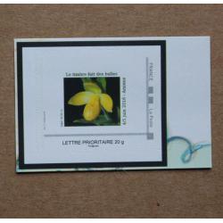 P3-D1 : 21ème Rendez-vous de la Bande Dessinée d'Amiens 2016 - Orchidée