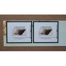 P3-D2 : 21ème Rendez-vous de la Bande Dessinée d'Amiens 2016 - Coquillage