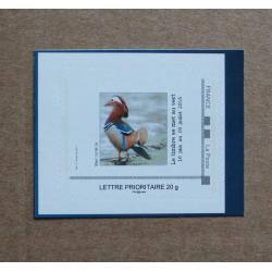 P3-E2 : UEFA Euro 2016 - Canard mandarin