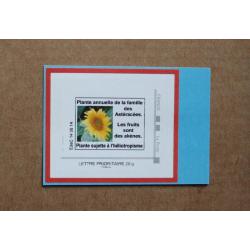 P3-X6 : Foire d'Automne 2014 Paris - Tournesols