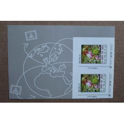 P3-Y1 : Timbres (variété) Orchidée