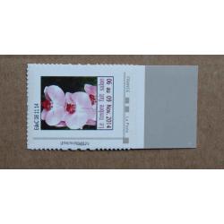 P3-Y2 : Timbre (variété) Orchidée