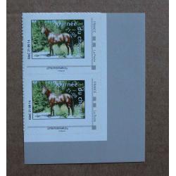 P3-Y3 : Journée du cheval