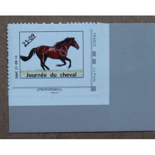 P3-Y4 : Journée du cheval