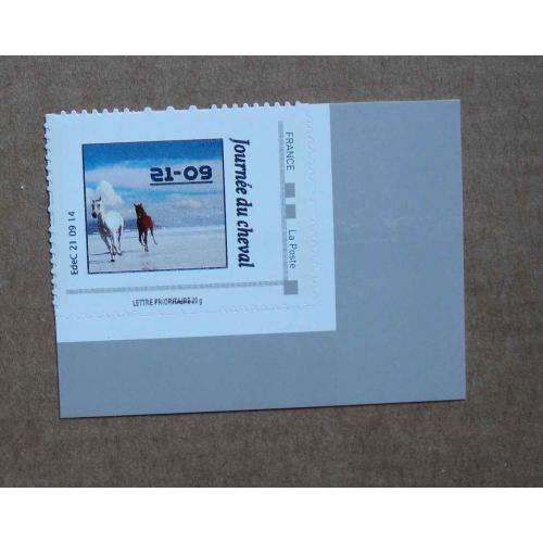 P3-Y4 : Journée du cheval (variété)