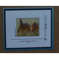 P3-Z5 : Foire de Paris - Cheval