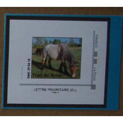 P3-Z5 : Foire de Paris - Cheval